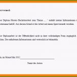 Schockieren 15 Verschwiegenheitserklärung Vorlage