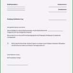 Schockieren 15 Vodafone Kündigung Umzug Vorlage