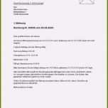 Schockieren 16 Mahnung Mit Inkasso androhung Muster