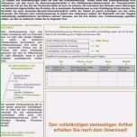 Schockieren 17 Vorlage Arbeitsanweisung