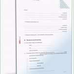 Schockieren 17 Word Vorlage Anleitung