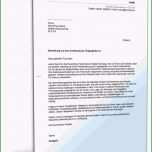 Schockieren 19 Frauen Anschreiben Vorlage