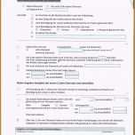 Schockieren 19 Vorlage Antrag Elternzeit Vater