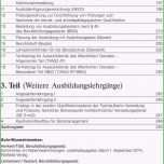 Schockieren 20 Ausbildungsvertrag Kündigen Muster