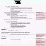 Schockieren 20 Bewerbung Als Supporter