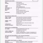 Schockieren 20 Lebenslauf Muster Für Schüler