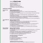 Schockieren 20 Lebenslauf Wissenschaftlicher Mitarbeiter
