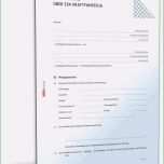 Schockieren 34 Gut übergabeprotokoll Vorlage Word Bilder