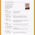 Schockieren 7 Curriculum Vitae Vorlage