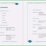 Schockieren 70 Wunderbar Lebenslauf Openoffice Vorlage Kostenlos