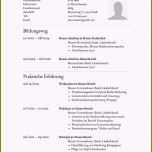 Schockieren 9 Lebensläufe Für Kunden Nstmitarbeiter