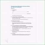 Schockieren Arbeitsvertrag Kündigung Vorlage