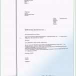 Schockieren Berufung Gegen Den Steuerbescheid Mit Antrag Auf