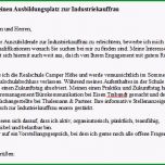 Schockieren Bewerbung Ausbildungsstelle Lebenslauf Beispiel