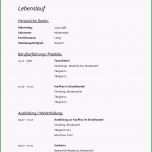 Schockieren Bewerbung Reinigungskraft Kostenlose Muster Vorlagen