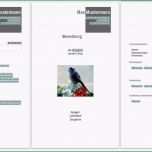 Schockieren Bewerbungsvorlagen Word 2010