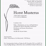 Schockieren Busch Bestattungen Trauerdruck Und Trauerfloristik