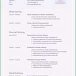 Schockieren Dm Bewerbung Vorlage