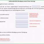 Schockieren E Wie Einfach Kündigen Vorlage Vorlage Download Chip
