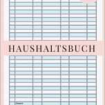 Schockieren Einnahmen Ausgaben Excel Vorlage Kostenlos