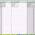 Schockieren Einnahmen Ausgaben Vorlage Kostenlos Excel Vorlage