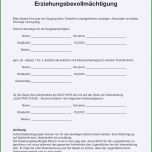 Schockieren Einverständniserklärung Kind Urlaub Vorlage Elegant