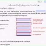 Schockieren Eon Kündigung Vorlage Download Chip