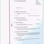 Schockieren Excel Pivottabelle Und Tabelle Einnahmen Ausgaben Vorlage