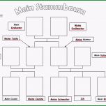 Schockieren Family Tree Template by Vickyjk Teaching Resources Tes