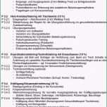 Schockieren Feedback Fragebogen Vorlage Cool Ziemlich Fragebogen