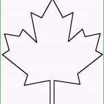 Schockieren Fensterbilder Für Den Herbst Basteln 25 Ideen Und Vorlagen