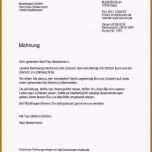 Schockieren Firmenvorstellung Email Vorlage Wunderbare Zufriedene