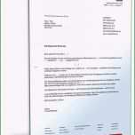 Schockieren January 2017