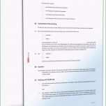 Schockieren Kaufvertrag Pferd