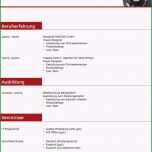 Schockieren Komplett Word Vorlage Lebenslauf Führungskraft