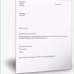 Schockieren Kostenloser Musterbrief Kündigung Stromanbieter Word