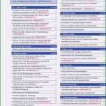 Schockieren Kostenplan Vorlage