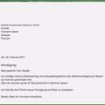 Schockieren Kündigung Arbeitgeber Vorlage Elegant Kündigungsschreiben