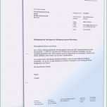 Schockieren Kündigung Clever Fit Muster