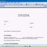 Schockieren Kündigung Vorlage Word