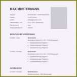 Schockieren Lebenslauf Ausbildung Vorlage Einzigartiges Vorlage