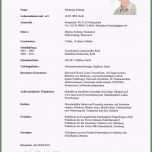 Schockieren Lebenslauf Muster Für Schüler tolle Für Lebenslauf Vorlage