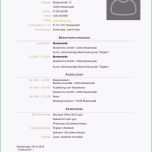 Schockieren Lebenslauf Vorlage Nach Der Ausbildung Lieblich Kostenlose