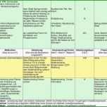 Schockieren Maßnahmenplan Vorlage Pflege Erstaunliche Maßnahmenplan