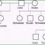 Schockieren Meine Mutter Zeigt Wie Man Fickt