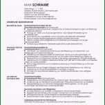 Schockieren Neues Lebenslauf Ausbildung Muster