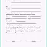 Schockieren Pin Von Marius Zvan Auf Chihuahua Welpen