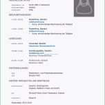 Schockieren Planet Beruf Lebenslauf Vorlage Erfreut Einfache Technik