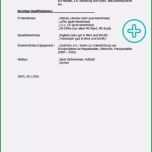 Schockieren Praktikum Vorlage Genial Lebenslauf Praktikum Mit