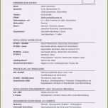 Schockieren Praktikumsbeurteilung Vorlage